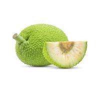 Fresh Breadfruit I Approximately 1.2KG to 1.8KG I Pack of 2