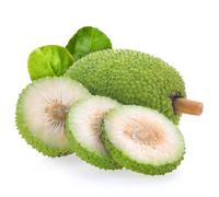 Fresh Breadfruit x 2 Pack | Tropical Caribbean Fruit | Ideal for Cooking, Baking, Roasting & Frying | Large Whole Breadfruits | Premium Quality Produce