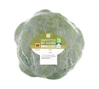 Fresh Broccoli 335g - Washed & Ready to Cook | Nutritious Green Veg | Perfect for Stir-Fries, Roasts, Steaming & Healthy Meals