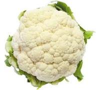 Fresh Cauliflower 1 Piece Whole Gobi Vegetable Farm Produce for Cooking Curry Stir Fry Sabzi Indian Kitchen Use