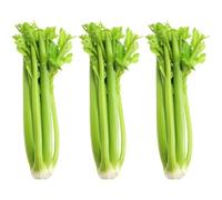 Fresh Celery Stalks with Leaves I Crisp, Juicy, and Farm Fresh I Approx 550G - 650G I Pack of 3