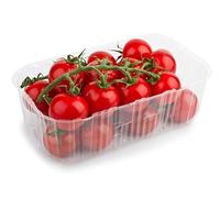 Fresh Cherry Vine Tomatoes I Pre-Packed I 500G I Pack of 3