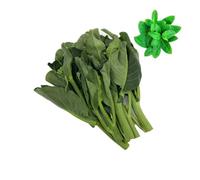 Fresh Chinese Kale 250gr | Fresh Mint Included