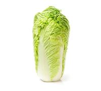 Fresh Chinese Leaf I Napa Cabbage | Approx 900G - 1400G I Pack of 1
