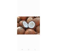 Fresh Coconut Fruits, Large, Pack of 3
