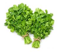 Fresh Coriander Leaves Pack of 2 - Fresh Green Coriander Bunches for Chutneys, Curries, Salads, Garnishing and Everyday Cooking