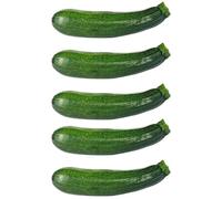 Fresh Courgette I Zucchini I Tender, Crisp & Nutritious I Pack of 5