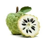 Fresh Custard Apple x 8