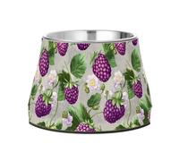 Fresh Dewberry Fruit Silver Dogs Feeding Bowls Non Skid Stainless Steel Pets Water Bowl for Small Pet Whisker Relief