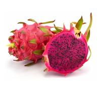 Fresh Dragon Fruit Pitaya x 5 Units | Red Flesh | Exotic Tropical Fruit | Sweet & Juicy Superfood | Ready to Eat | Premium Quality