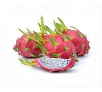Fresh Dragon Fruit (Set of 6) by Tropical Importers