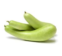 Fresh Dudhi (Bottle Gourd) 4kg -/+10% | Long Calabash Lauki | Authentic Asian Vegetable | Ideal for Curries, Soups & Juices