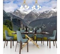 Fresh Elegant Blue Sky Snow Capped Mountains Trees Grasslands 3D Wallpaper Silky Texture Home Study Office Grey Dining Room Sofa Bedroom Living Room TV Backdrop-400cm×280cm