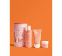 Fresh Elements Get Back Your Glow Glow Discovery Set