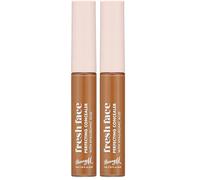 Fresh Face Perfecting Concealer infused with Hyaluronic Acid, Shade 14 (Pack of 2)