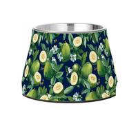 Fresh Feijoa Fruit Royal Blue Pets Food Bowl Non Skid Stainless Steel Cat Food Dishes for Dogs Cats Rabbits Birds Comfort Feeding