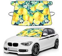 Fresh Fruit Yellow Lemon Limes, Car Windshield Cover, Protective Windscreen Cover - Snow Ice Sun UV Dust Water Resistant - Fit for Most Cars