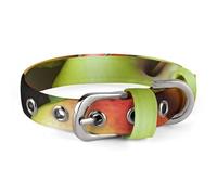 Fresh Fruits and Vegetables Dog Collar Adjustable Soft and Comfortable Puppy Collars with Metal Buckle Pet Collar for Small Medium Pet