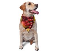 Fresh Fruits Dog Bandana Pet Scarf Accessories for Small Medium Dogs Cats Photo Prop, Triangle Pet Bandanas Adjustable Puppy Bib Washable Dog Kerchief Puppy Neckerchief