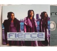 Fresh Funky & Fierce - Right Here Right Now [CD 1]