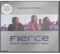 Fresh Funky & Fierce - Right Here Right Now [CD 2] Dance Mixes [CD 2]