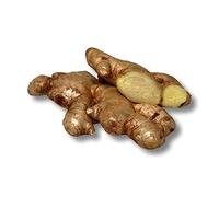 Fresh Ginger Root for Cooking 500g, Flavourful Ginger Spice, Sourced From Africa, Non-GMO