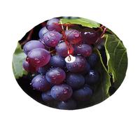 Fresh Grapes Christmas Tree Skirt 48" Fashion Holiday Accessories Suitable for Halloween and Christmas