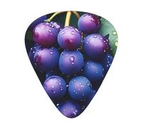 Fresh Grapes Guitar Picks Gift Set - Smooth Durable Plectrums For Acoustic, Electric & Bass Guitar, Perfect Present For Guitar Lovers & Musicians