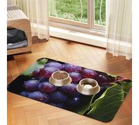Fresh Grapes Pet Absorbent Leather Placemat 40x60cm Beautiful Design Cat and Dog Bowl Mat Portable Storage