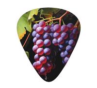 Fresh Grapes printed guitar picks, 12-piece set with thin, medium, and thick styles, comes with a storage case