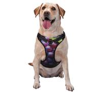 Fresh Grapes X-Large Printed pet Traction Vest for Pets to wear When Walking The Dog or Climbing Mountains