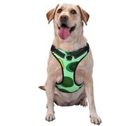Fresh Green Avocado Fitness People Exercise,Pet Harness,Adjustable Reflective Dog Harness,Pet Leash Vest,XL