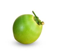 Fresh green coconut - Expertly sourced by My Exotic Fruit (5)