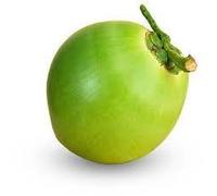 Fresh Green Coconut I Jelly Nuts I Indian Origin (Pack of 1)