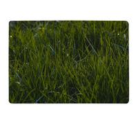 Fresh Green Grass Background, Natural Grass Designer Rug Benjamin Tate Design Natural Large