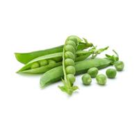 Fresh Green Peas (India) 4kg - Premium Quality Garden Peas - Naturally Sweet & Tender - Ideal for Curries, Rice Dishes, and Soups - Farm Fresh Produce