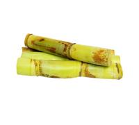 Fresh Green Sugarcane Sticks 9kg | Premium Quality | Ideal for Juicing, Chewing & Cooking | Natural Sweet Flavour | Catering & Retail Pack