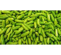 Fresh Green Tindori I Ivy Gourd I 2KG