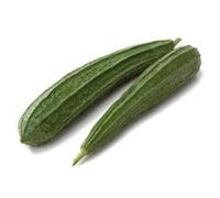 Fresh Green Turia I Ridge Gourd I Cucurbitaceae I 1.5KG