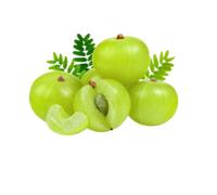 Fresh Indian Gooseberry (Amla/Nellikai) - Raw Green Amla Fruit for Juice, Pickles & Health Uses