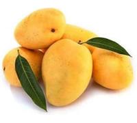 Fresh Indian Kesar Mangoes Taste of Indian Summer (Box of 6)