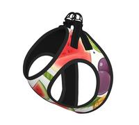 Fresh Juicy Fruits Pineapple Berries Grape Orange Print Dog Harness,Pet Leash Vest For Small To Medium Dogs,Perfect For Outdoor Adventures