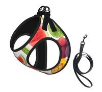 Fresh Juicy Fruits Pineapple Berries Grape Orange Print Step in Dog Harness and Leash Set,Adjustable Reflective Harness for Small Dogs Cats