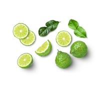 Fresh Kaffir Limes 3kg Box | Aromatic Citrus for Thai & Asian Cuisine | Premium Quality Whole Kaffir Limes