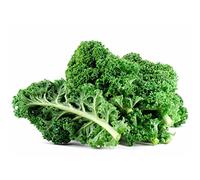 Fresh Kale 1 Pack x 5 - Nutritious, Leafy Green Superfood | Washed & Ready for Cooking, Smoothies, Salads and Healthy Meal Prep