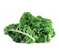 Fresh Kale 5 Pack - Premium Green Leafy Vegetable - Ideal for Juicing, Smoothies, Salads, Stir-Fries & Meal Prep