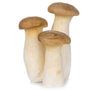 Fresh King Oyster Mushrooms 20 Units | Premium Gourmet Mushrooms | Ideal for Stir-Fries, Grilling, BBQ, Asian & Vegan Cooking | Meaty Texture & Rich Umami Flavour