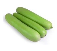 Fresh Kodu/Bottle Gourd/Dudhi 2kg -/+10% | Lauki/Calabash | Ideal for Curries, Soups & Juicing | Low Calorie, High Fibre | Fresh Asian Vegetables