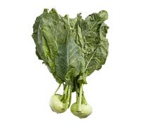 Fresh Kohlrabi I Pack of 3