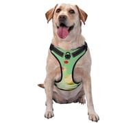 Fresh Lemon Large Printed pet Traction Vest - Ideal for Dog Walking, Hiking, Daily Travel